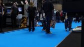 Print Show Montage